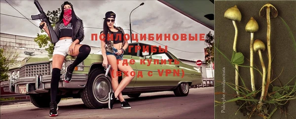 МДПВ Михайловск