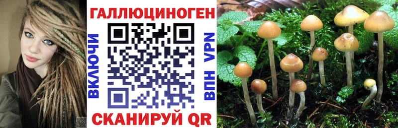 Галлюциногенные грибы GOLDEN TEACHER  что такое   Красный Холм 
