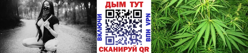Канабис ГИДРОПОН кракен зеркало Красный Холм